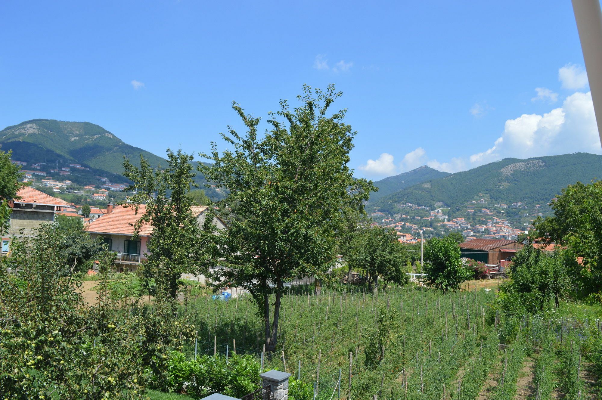 La Casa Dei Fiori - Ospitalita Diffusa Agerola Bagian luar foto